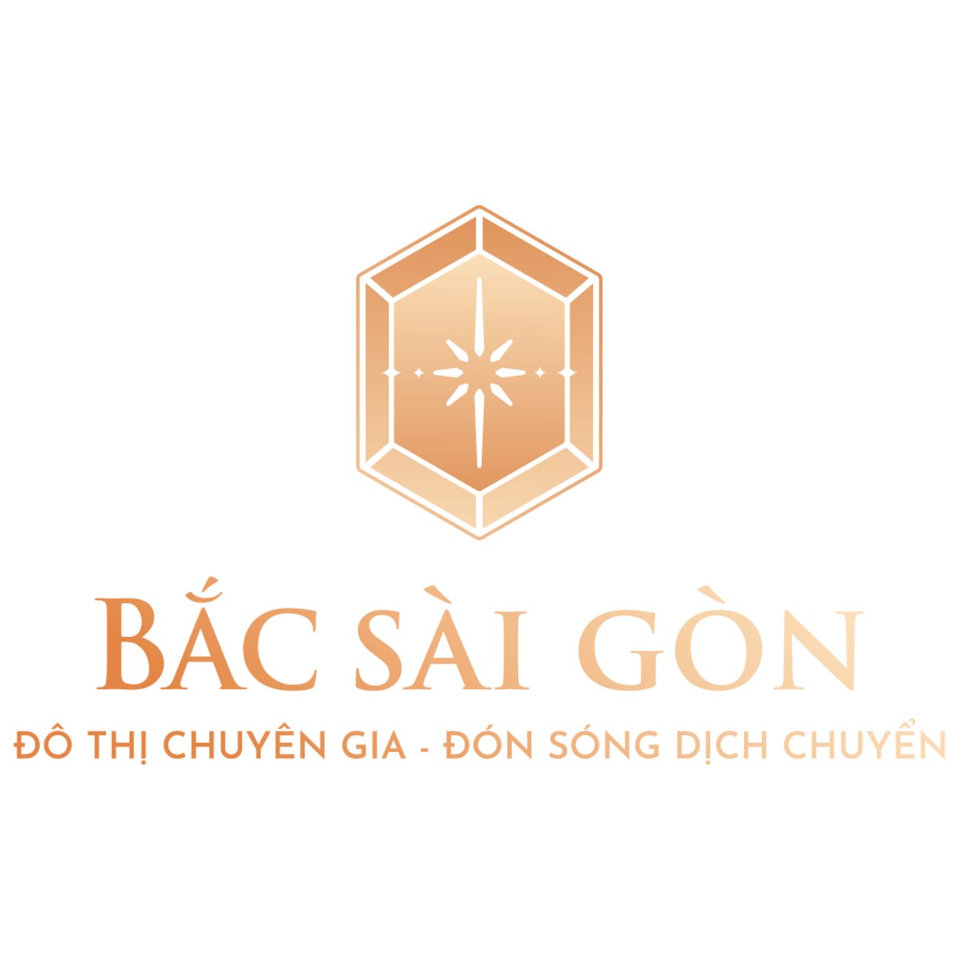 Khu Do Thi Bac Sai Gon | Dat Nen So Hong Rieng Mat Tien DT741